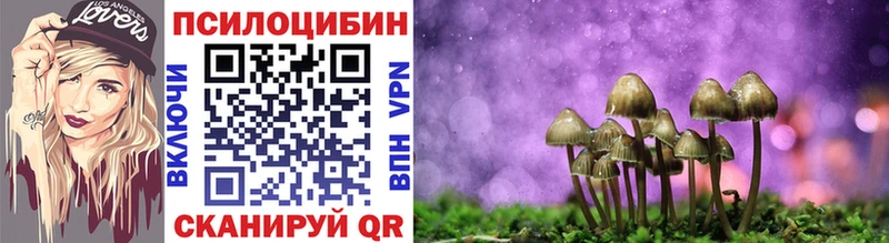 Псилоцибиновые грибы Cubensis  Красноперекопск 